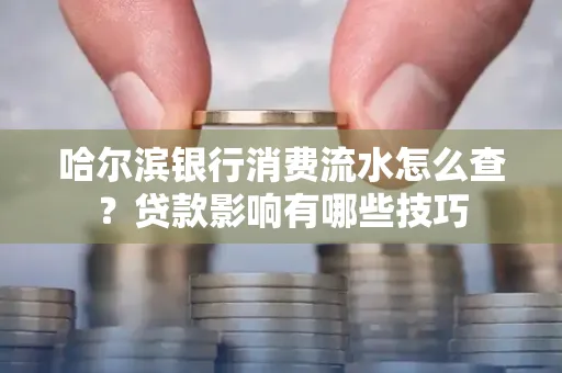 哈尔滨银行消费流水怎么查?贷款影响有哪些技巧